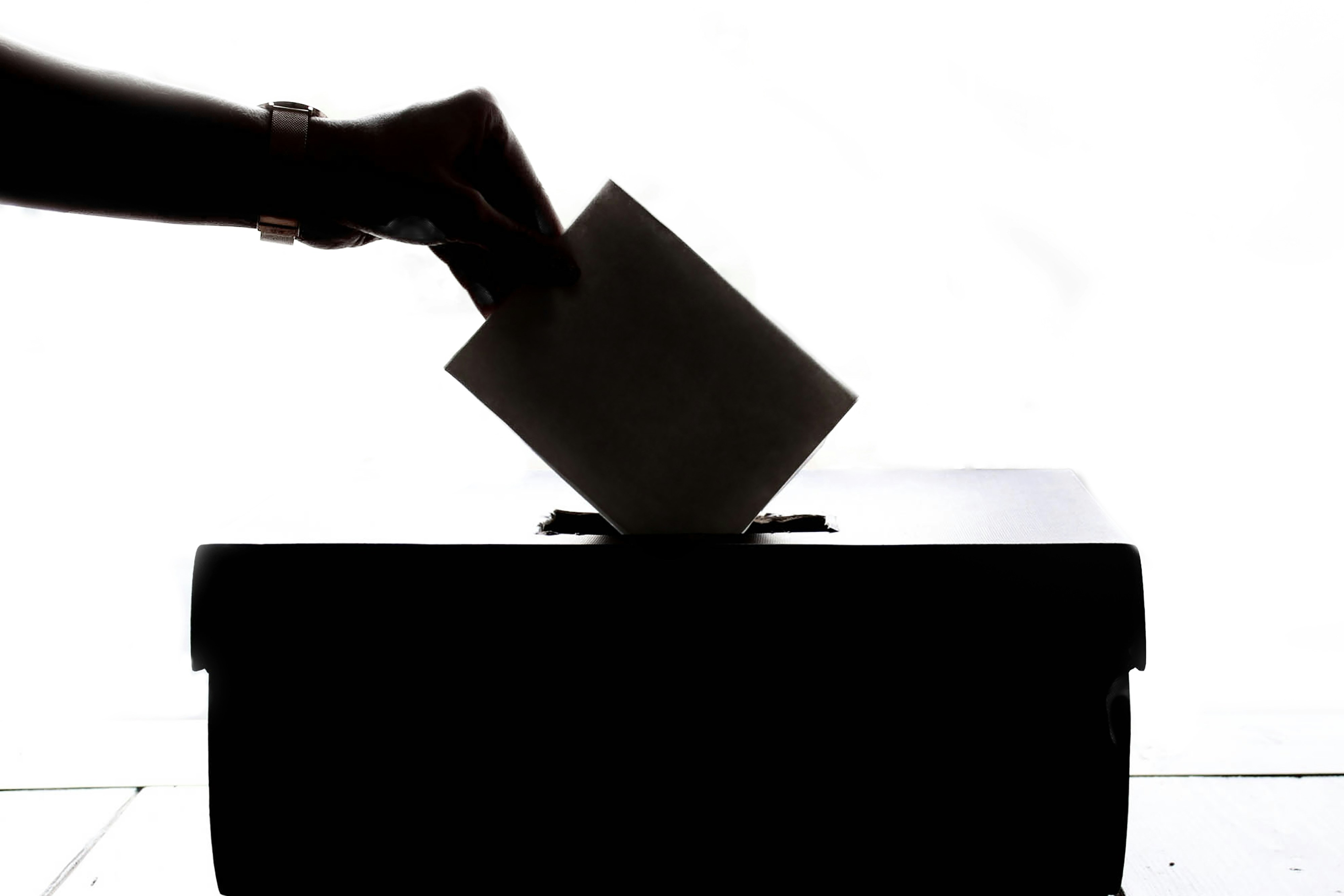 Les élections professionnelles désignant les membres du Comité social et économique (CSE)